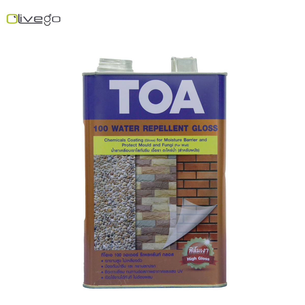 TOA Water Lacquer A-100 1GAL