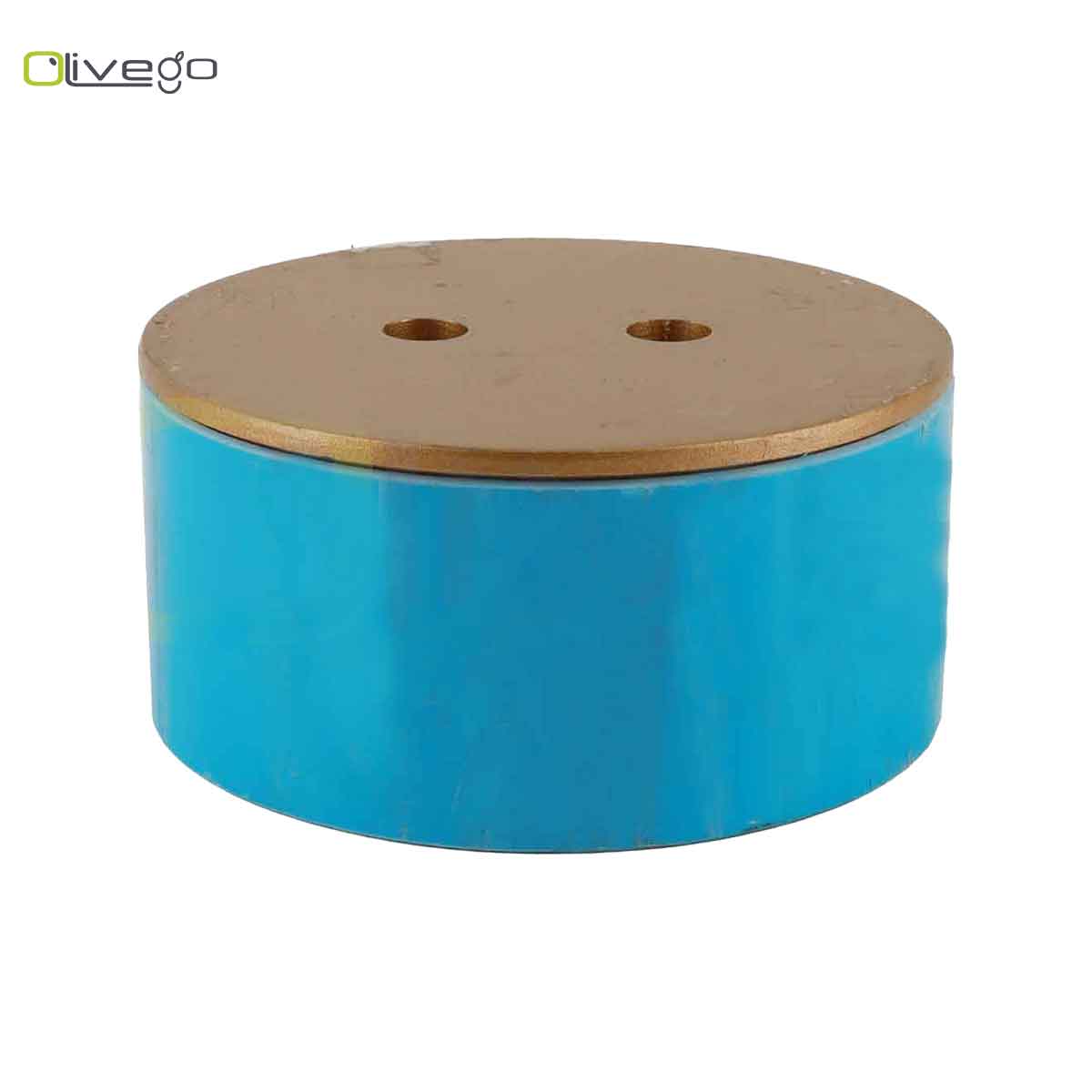 PVC Copper CLEANOUT PLUG 4"Inches