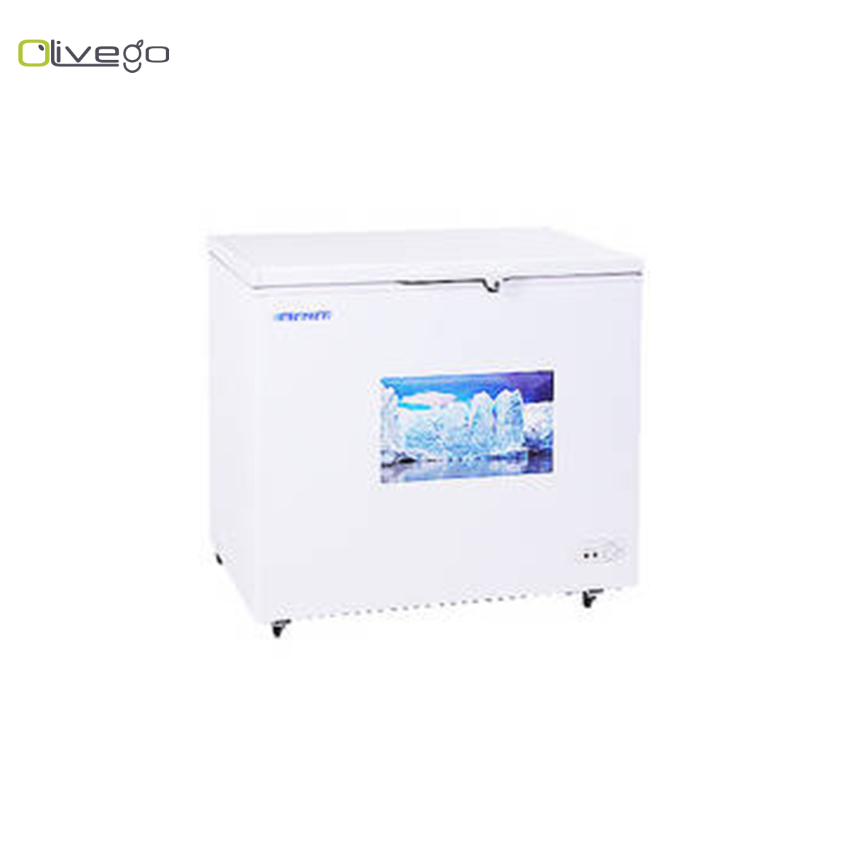 Glacier Freezer BD-208G 3' (230L)